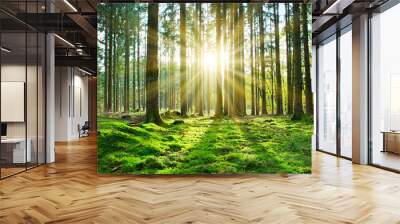 Summer forest with bright sun shining through the trees. Wall mural