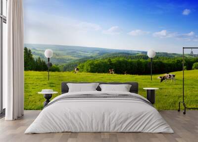 summer landscape with green grass and cow. Wall mural