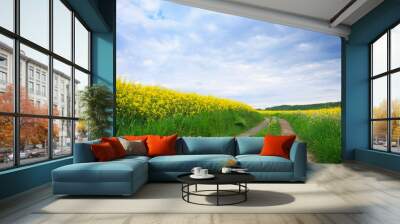 Yellow rape field under the blue clouds sky with sunlight. Wall mural