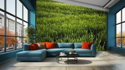 Abstract Grass Field Wall mural