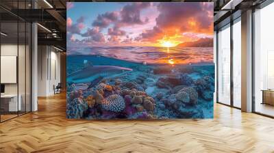 Split view of a vibrant coral reef underwater and a breathtaking sunset sky above the ocean. Wall mural