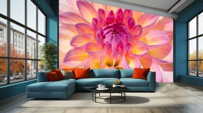 Dahlia flower Wall mural