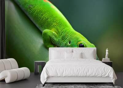 Green gecko Wall mural