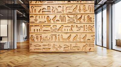 old egypt hieroglyphs Wall mural