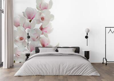 Blooming magnolia flower isolated on white background. Wall mural