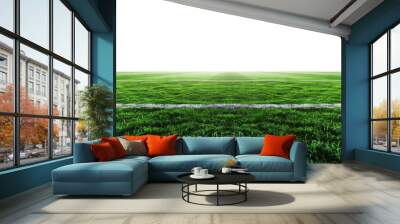 Green grass field Wall mural