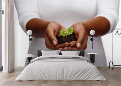 african american woman hands holding plant in soil Wall mural