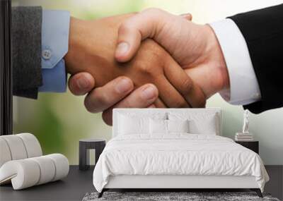 businessman and businesswoman shaking hands Wall mural