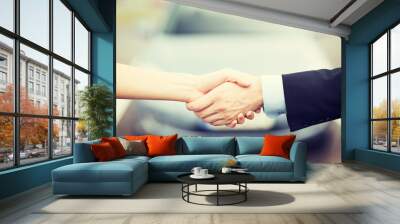 customer and salesman shaking hands Wall mural