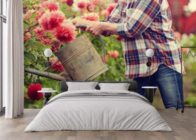 farming, gardening and people concept - happy senior woman with watering can and dahlia flowers blooming at summer garden Wall mural