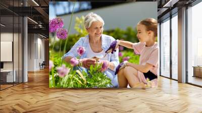 gardening, family and people concept - happy grandmother and granddaughter planting flowers at summer garden Wall mural