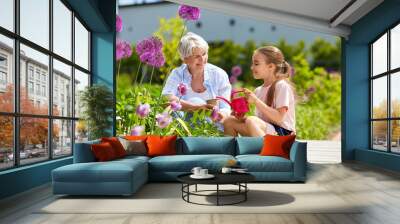 gardening, family and people concept - happy grandmother and granddaughter planting flowers at summer garden Wall mural