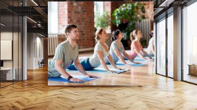 group of people doing yoga cobra pose at studio Wall mural