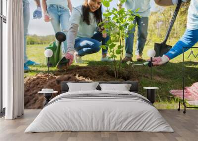 group of volunteers hands planting tree in park Wall mural