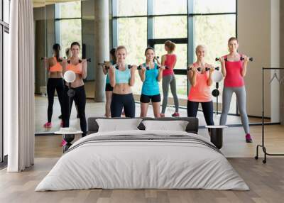 group of women with dumbbells in gym Wall mural