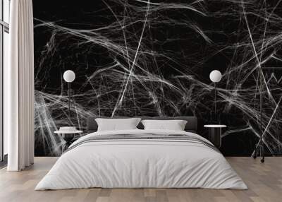 halloween, decoration and horror concept - artificial spider web over black background Wall mural