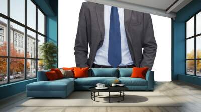 handsome buisnessman Wall mural