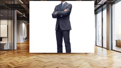 happy smiling businessman in suit Wall mural