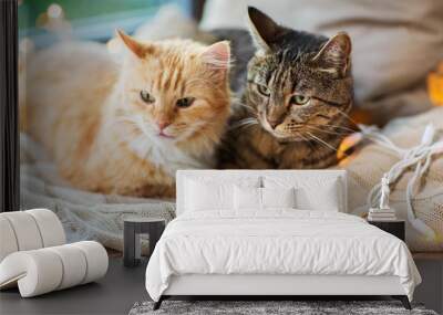 pets, christmas and hygge concept - two cats lying on window sill with blanket at home Wall mural