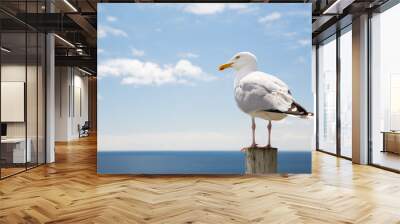 seagull over sea and blue sky Wall mural