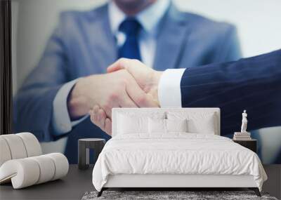 two businessmen shaking hands in office Wall mural