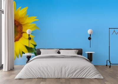 Blooming sunflower in the blue background.Copy space for text.Banner Wall mural