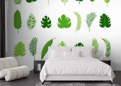 Leaf palm vector set, summer jungle tree, exotic foliage, green plant isolated on white background. Nature illustration Wall mural