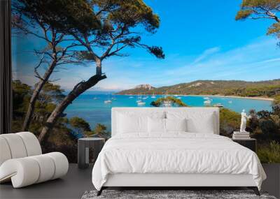 Landscapes, summer Mediterranean sea and beaches of the island of Porquerolles, in Hyères, in the Var in France Wall mural