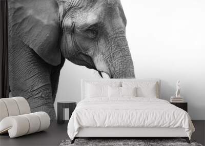 Powerful black and white elephant portrait Wall mural