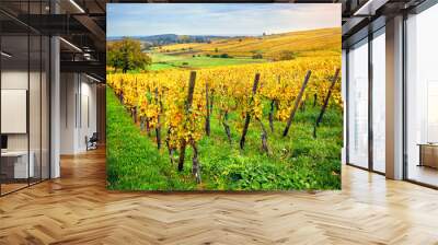 Landscape with autumn vineyards. France, Alsace Wall mural