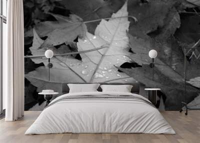 Fallen Leaves Wall mural