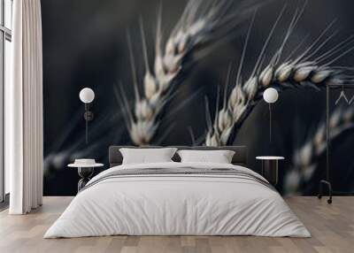 Close-Up of Wheat Ears in Dark Field. Wall mural