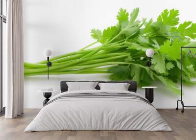 A bunch of fresh green cilantro is displayed on a white background Wall mural