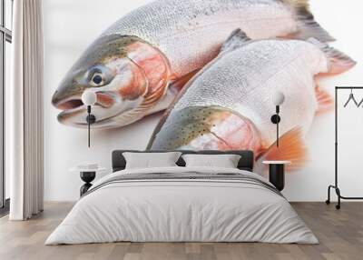 Two fish with red fins and a white background Wall mural