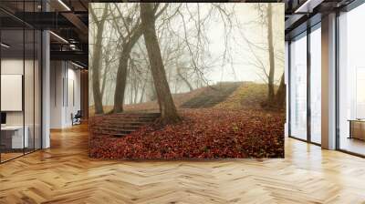 Autumn foggy forest landscape. Old bare trees, ruined stone staircase and fallen red leaves on the ground. Mysterious autumn landscape in vintage tones Wall mural