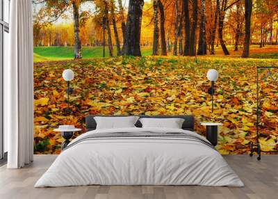 Fall landscape view of fall park at sunset. Row of fall trees with fallen dry leaves covering the ground, focus at the fall leaves on the foreground Wall mural