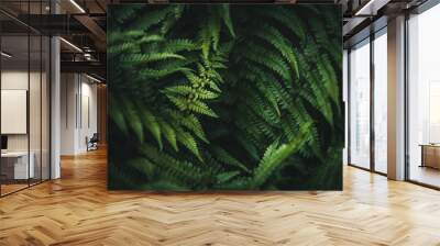 Beautiful green fern in the forest.Texture wallpaper Wall mural