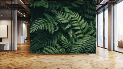 Natural green fern wallpaper Wall mural