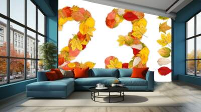 Numbers 2 and 3 made of autumn leaves Wall mural