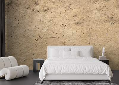 rocky summer beach sand texture Wall mural