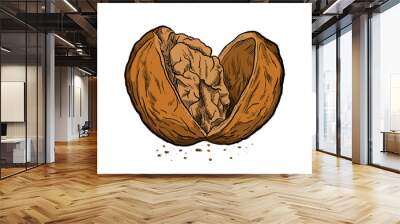 Cracked Open Walnut, a hand drawn vector illustration of a walnut in full color. Wall mural