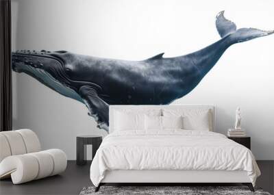 baleine à bosse détourée sur fond transparent Wall mural