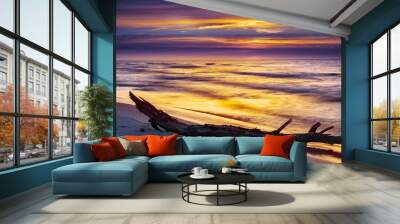 Dry tree on the beach at sunset over sea Wall mural