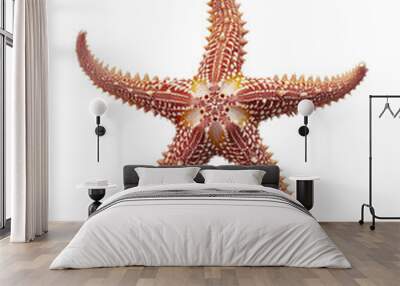 Close-up image of a single red sea star with textured surface isolated on white background, showcasing marine life and underwater beauty. Wall mural