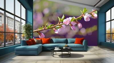 Tender branch of a blossoming pink peach in a green garden on a beautiful background Wall mural