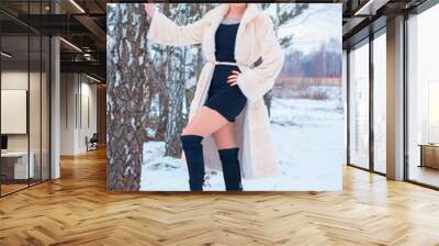 Winter holiday concept. Inspiration and fairy cold time. Woman in fashionable dress and fur coat at park . Pretty nice lady outdoor, holiday days, snowy magical christmas time  Wall mural