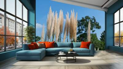 pampas grass 2 Wall mural