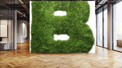 grass letter B isolated on white background Wall mural