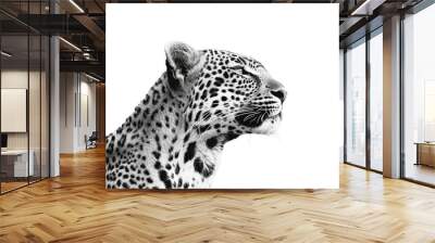 Black and White Leopard on transparent or white background Wall mural