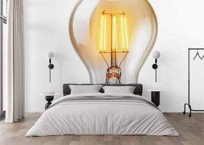 Glowing light bulb isolated on transparent background Wall mural